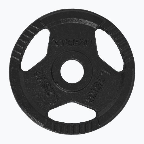 Litinový kotouč XTREXO TRX-ICP001 1,25 kg chrom