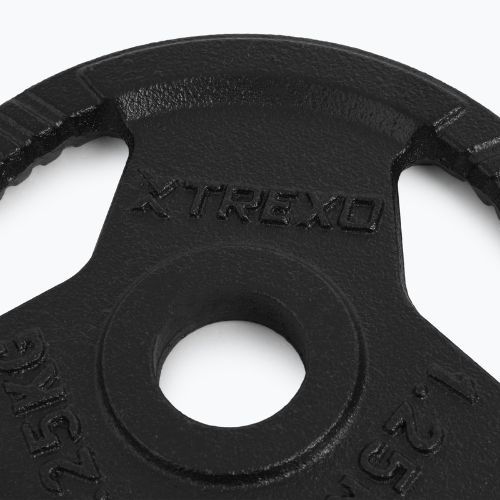 Litinový kotouč XTREXO TRX-ICP001 1,25 kg chrom