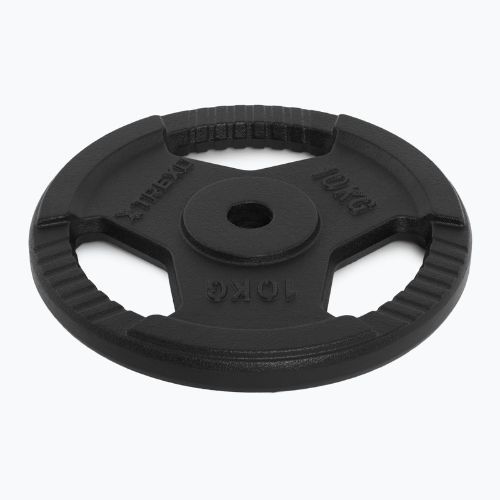 Litinový kotouč XTREXO TRX-ICP010 10 kg chrom