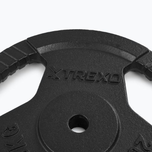 Litinový kotouč TREXO TRX-ICP020 20 kg chrom