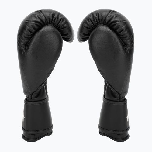 Kožené boxerské rukavice HOOK FIGHTING Ready to Fight black