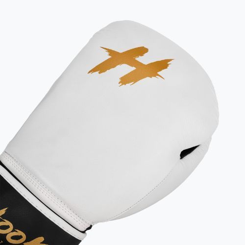 Kožené boxerské rukavice HOOK FIGHTING Ready to Fight white