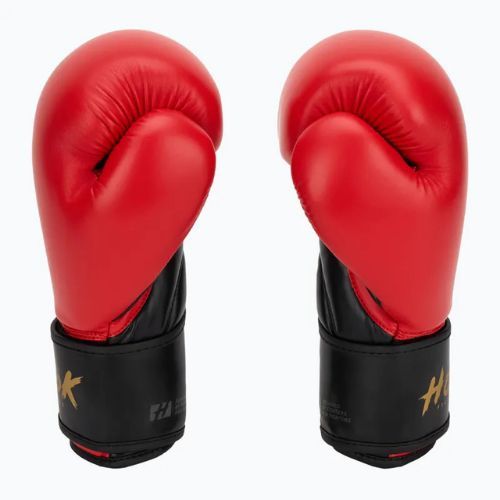 Boxerské rukavice HOOK FIGHTING Ready To Train red