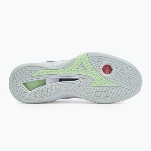 Dámské házenkářské boty Mizuno Wave Stealth Neo