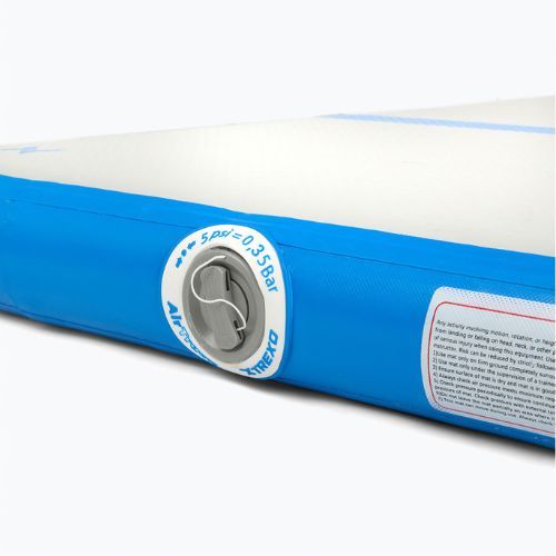 Gymnastická žíněnka TREXO 300 x 10 cm white