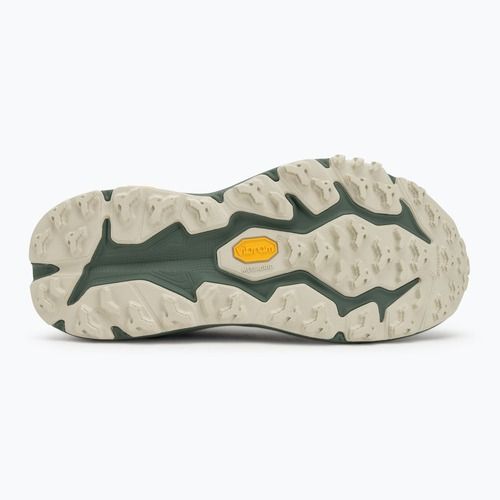 Pánské běžecké boty HOKA Speedgoat 6 GTX sea flass/fern