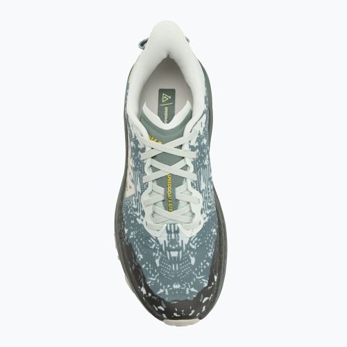 Pánské běžecké boty HOKA Speedgoat 6 GTX sea flass/fern