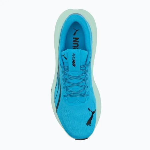 Pánské běžecké boty PUMA MagMax Nitro mint melt/speed blue