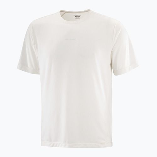 Pánské tričko Salomon Shakeout Core whisper white