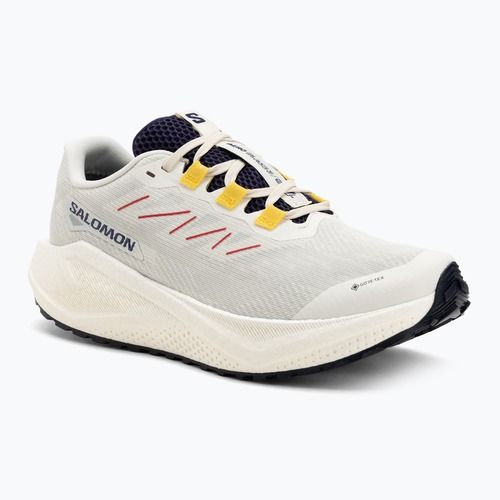Pánské běžecké boty Salomon Aero Blaze 3 Gravel GTX vanilla ice/astral aura/lemon