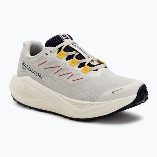 Dámské běžecké boty Salomon Aero Blaze 3 Gravel GTX vanilla ice/astral aura/lemon