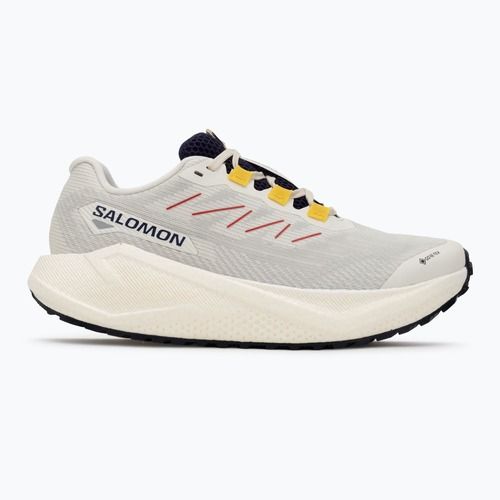 Dámské běžecké boty Salomon Aero Blaze 3 Gravel GTX vanilla ice/astral aura/lemon