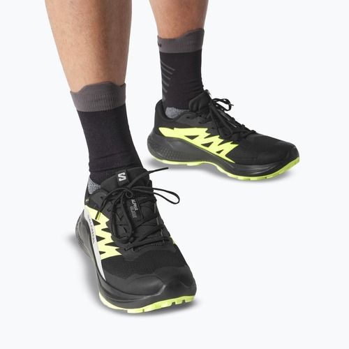 Pánské běžecké boty Salomon Alphaglide GTX black/alloy/sharp green