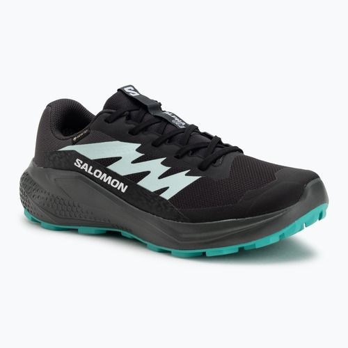 Dámské běžecké boty Salomon Alphaglide GTX hantom/urban chic/waterfall