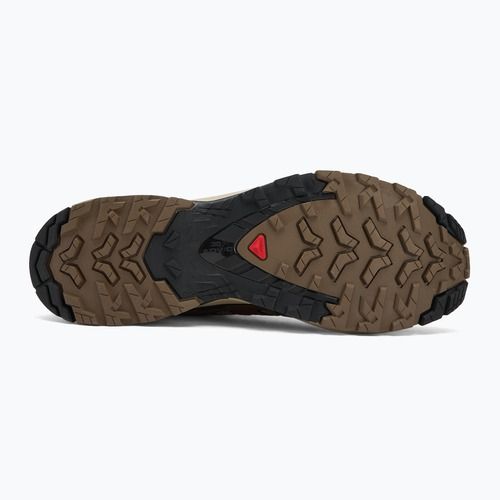 Pánské běžecké boty Salomon XA Pro 3D V9 falcon/desert tan/black