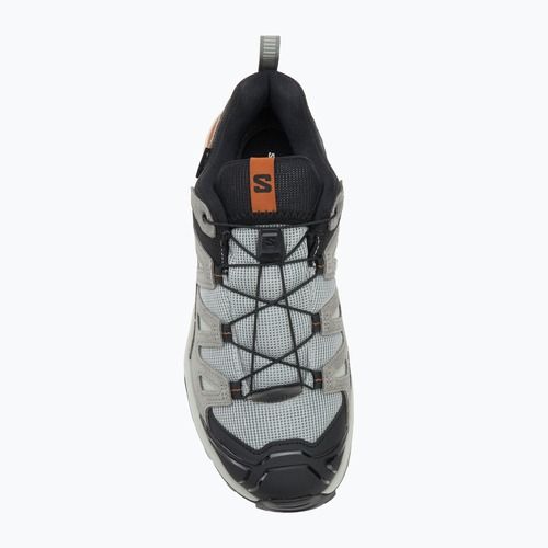 Pánské trekingové boty Salomon X Ultra 360 Leather GTX wrought iron / sedona sage / sierra