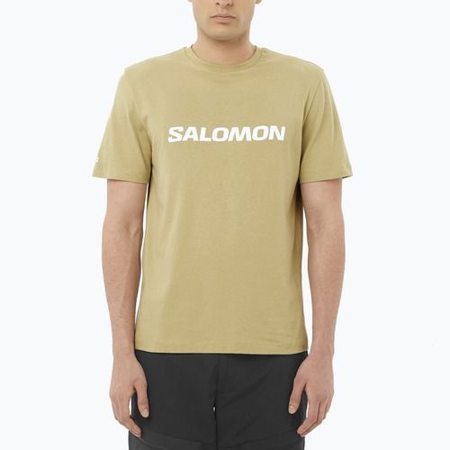 Pánské tričko Salomon Logo grey green