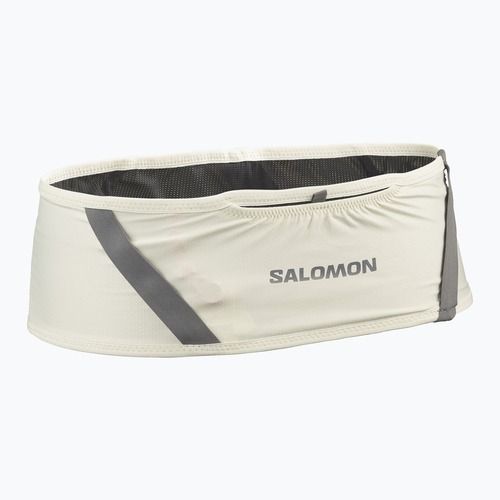 Běžecký pás Salomon Pulse icicle / castlerock