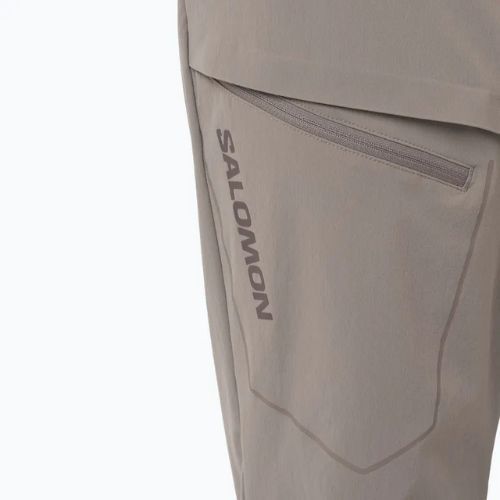 Pánské trekingové kalhoty Salomon Wayfarer iron
