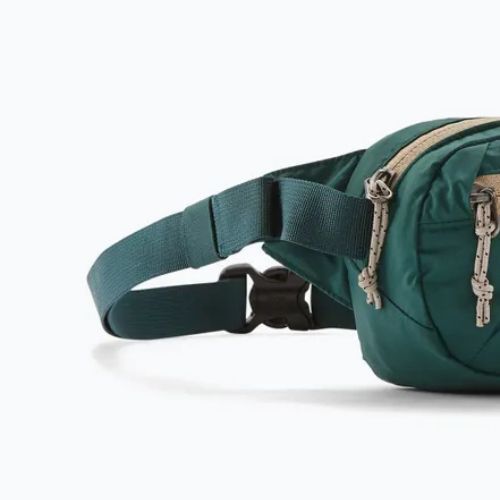 Belt bag Patagonia Terravia Mini Hip cascade green