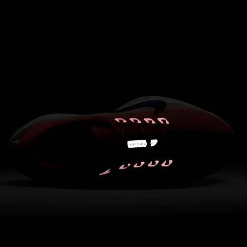 Dámské běžecké boty Nike Pegasus Plus bright crimson / deep royal blue / silt red