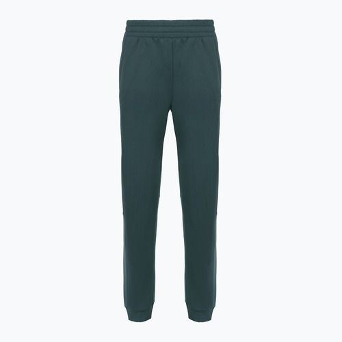 Dámské kalhoty The North Face Mountain Athletics Fleece deep cypress/space
