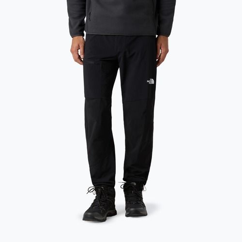 Pánské softshellové kalhoty The North Face Speedlight Regular black
