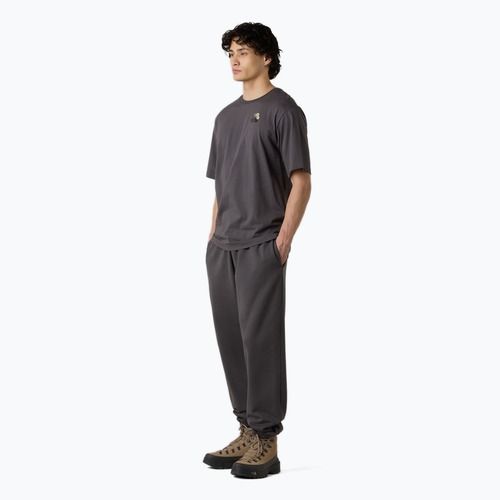 Pánské tričko The North Face Flower Dome Relaxed Graphic anthracite grey