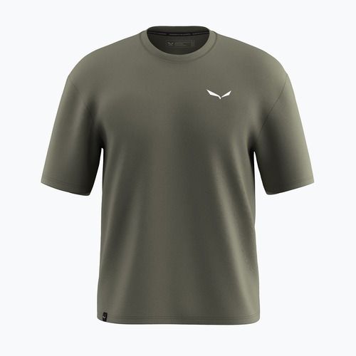 Pánské tričko Salewa Eagle Glacier Loose faded green