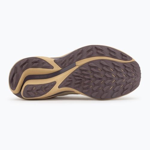 Dámské běžecké boty Mizuno Wave Rider TT 3 curds&whey/summer sand/moonscape