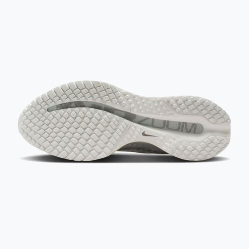 Dámské běžecké boty Nike Pegasus Premium ESS summit white/pure platinum/white