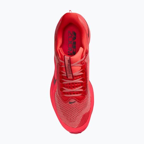 Pánské běžecké boty Nike Pegasus Premium light crimson/bright crimson/black/team red