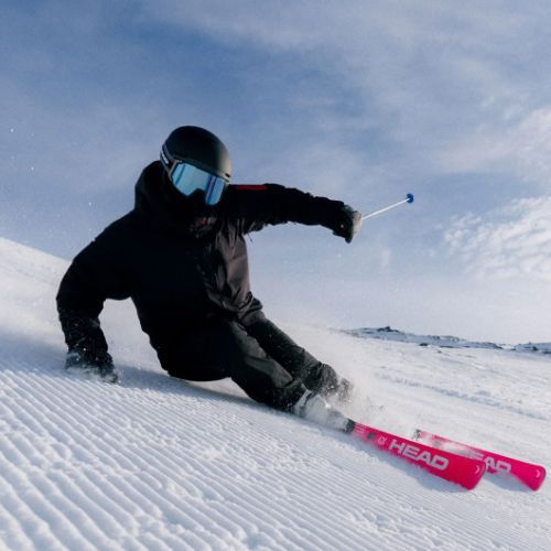 Sjezdové lyže HEAD WC Rebels e-Race Pro RP WCR 14 + vázání Freeflex 14 GW 75 Years pink