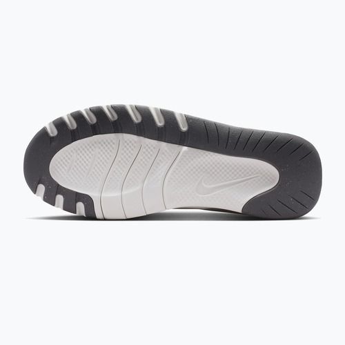 Dámské tréninkové boty Nike Flex Train sail/chalk/pencil point/white