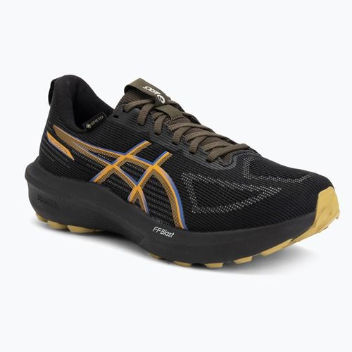 Pánské běžecké boty ASICS GT-1000 14 GTX black/dark cobalt