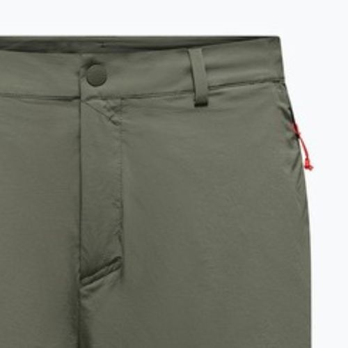 Pánské trekingové šortky Salewa Puez Talveno DST faded green