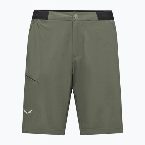 Pánské trekingové šortky Salewa Pedroc 4 DST Cargo faded green
