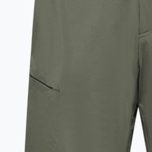 Pánské trekingové šortky Salewa Pedroc 4 DST Cargo faded green