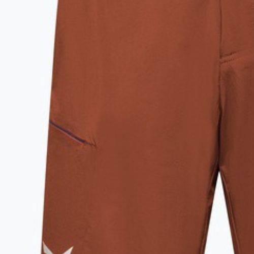 Pánské trekingové šortky Salewa Pedroc 4 DST Cargo bombay brown/0910