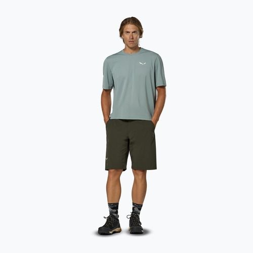 Pánské trekingové šortky Salewa Pedroc 4 DST Cargo dark olive/0910