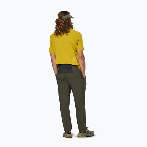 Pánské trekingové kalhoty Salewa Pedroc 5 DST dark olive