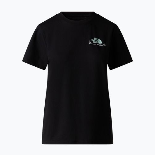 Dámské tričko The North Face Monte Regular Graphic tnf black