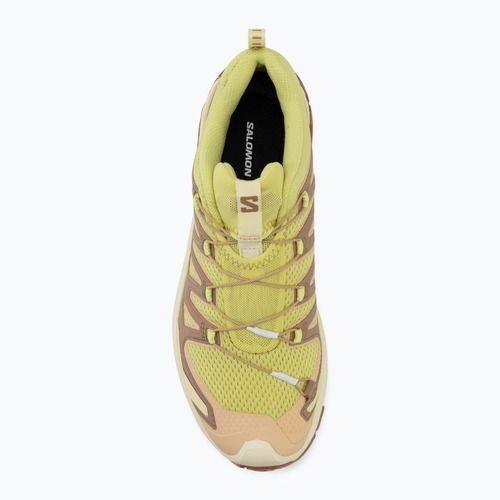 Dámské běžecké boty Salomon XA Pro 3D V9 endive/burro/almond cream