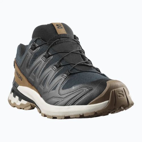 Pánské běžecké boty Salomon XA PRO 3D V9 GTX Lifelong black/coyote brown/vanilla ice