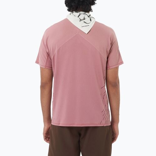 Pánské běžecké tričko Salomon Sense Aero SS Tee GFX dusky orchid