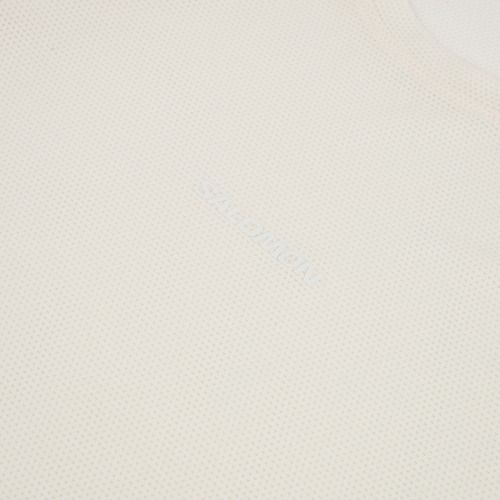 Pánské běžecké triko s dlouhým rukávem Salomon Shakeout Core whisper white