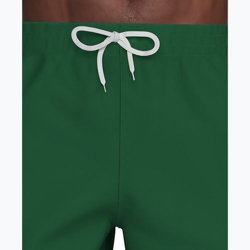 Pánské plavkové šortky Nike Lap Logo 5" Volley malachite