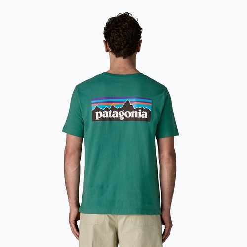 Pánské tričko Patagonia P-6 Logo gem green