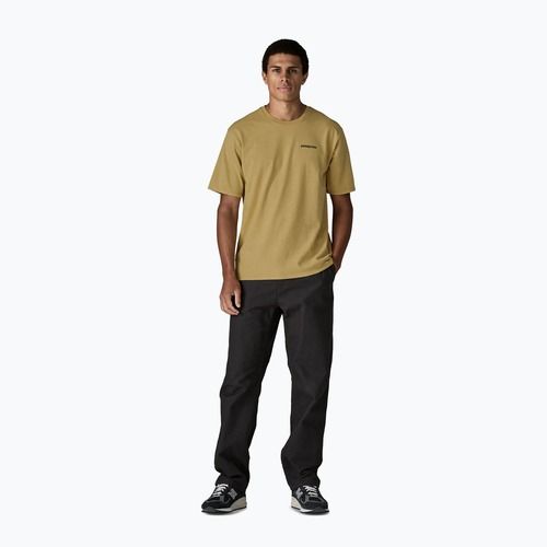 Pánské tričko Patagonia Flying Fish Responsibili Tee limestone yellow/heritage fitz