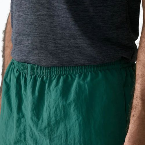 Pánské šortky Patagonia Baggies 5" 95 oval logo/gem green